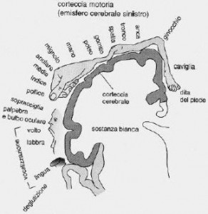 Neuroni a specchio